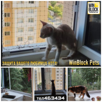 Винблок для домашнего питомца